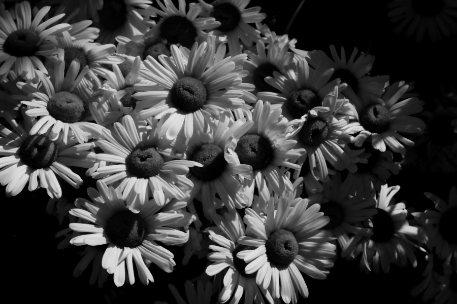2011 10 16 0392bw